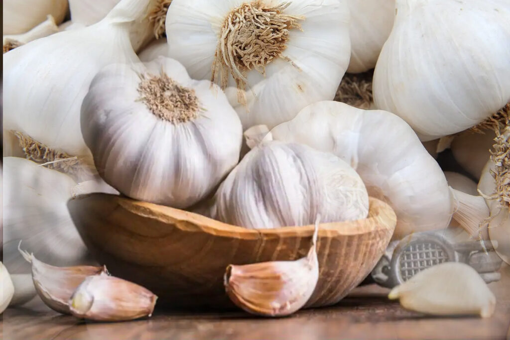 garlic benefits of the Shyjabati tree